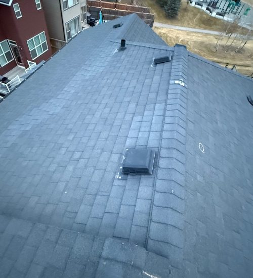 WhatsApp Image 2025-11-22 at 8.18.56 PM